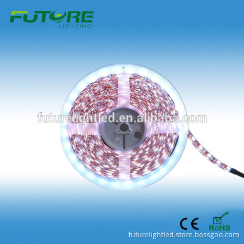 30pcs SMD 5050 flexible led strip light 5 meters/roll
